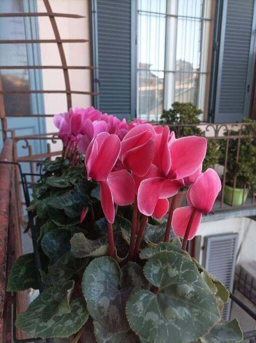 Pane E Tulipani, Cozy Apartment Near City Center Turin Exterior photo
